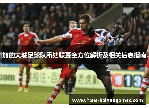 加的夫城足球队所处联赛全方位解析及相关信息指南