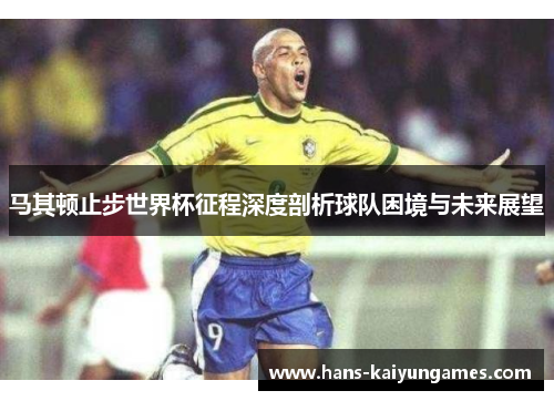 马其顿止步世界杯征程深度剖析球队困境与未来展望