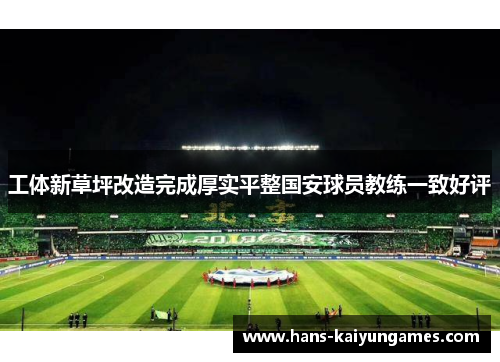 工体新草坪改造完成厚实平整国安球员教练一致好评