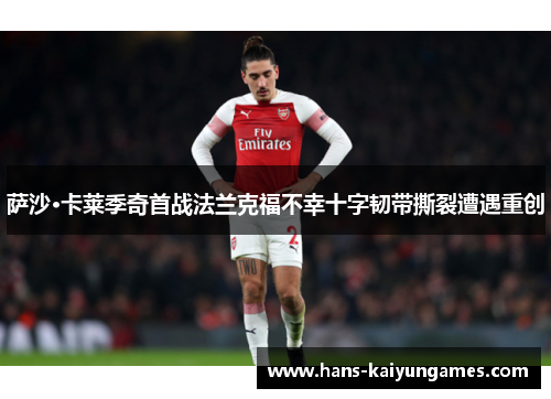 萨沙·卡莱季奇首战法兰克福不幸十字韧带撕裂遭遇重创